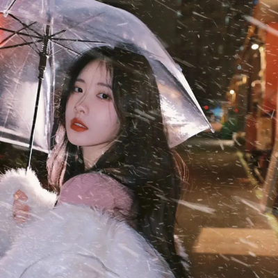 第28年的甲子园