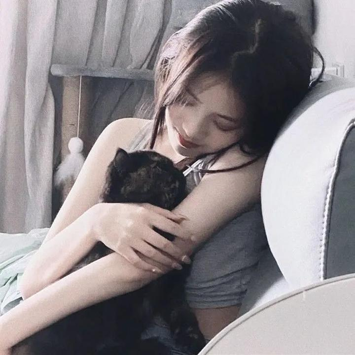 鲁邦三世：被盗的鲁邦 模仿者是真夏之蝶